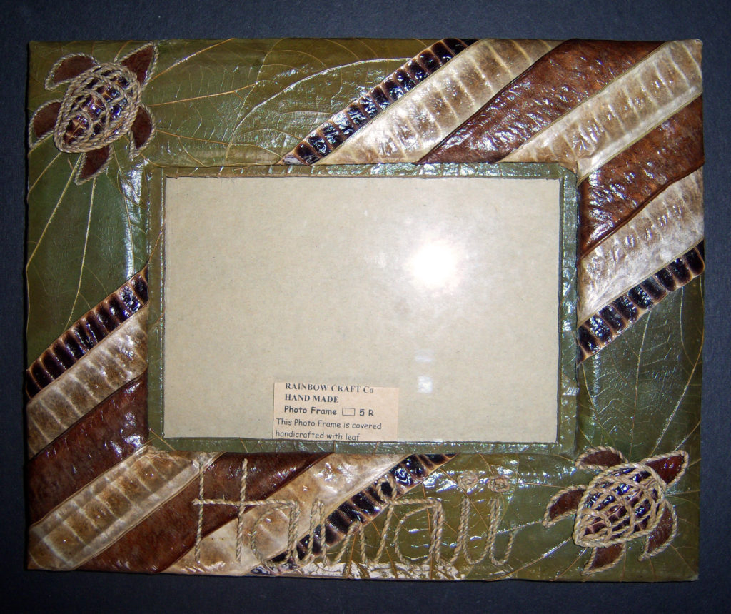 Turtle Shell Color Framws Double Turtle Leaf Frames • Rainbow Craft Company