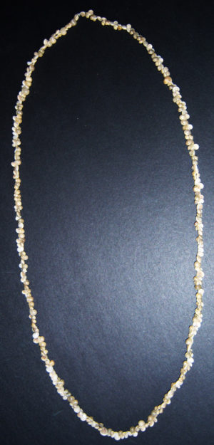 Umbonium Shell Lei